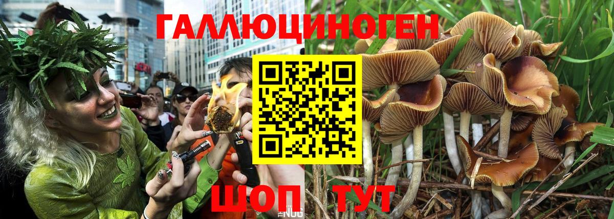 Псилоцибиновые грибы ЛСД Ирбит